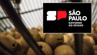 SP Loterias Consortium takes over São Paulo Lottery concession after fierce dispute